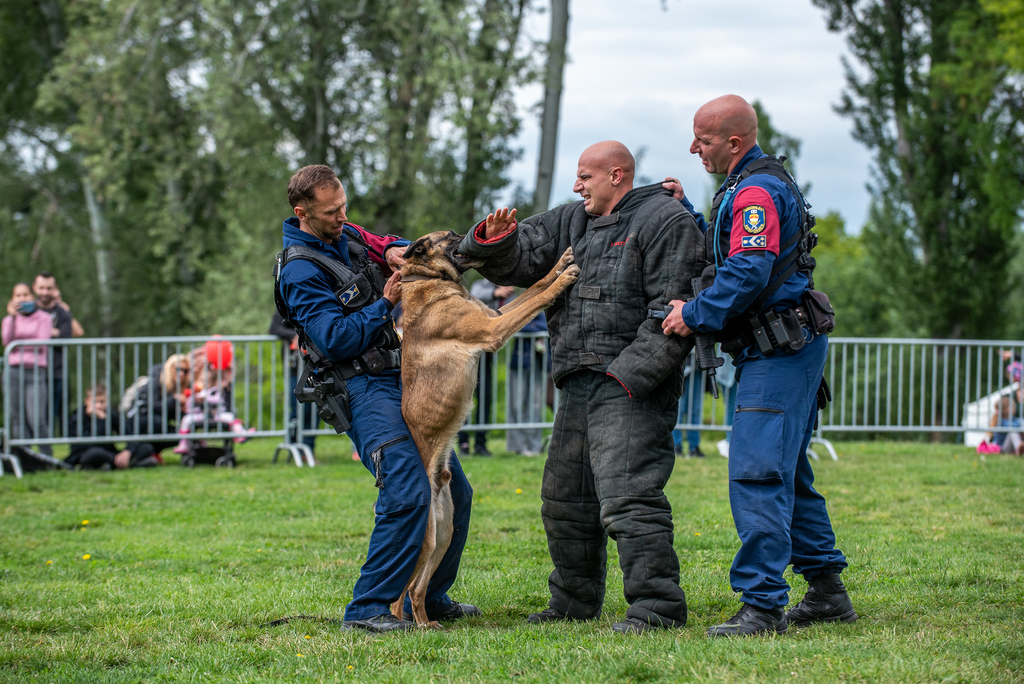 készenléti rendőrség